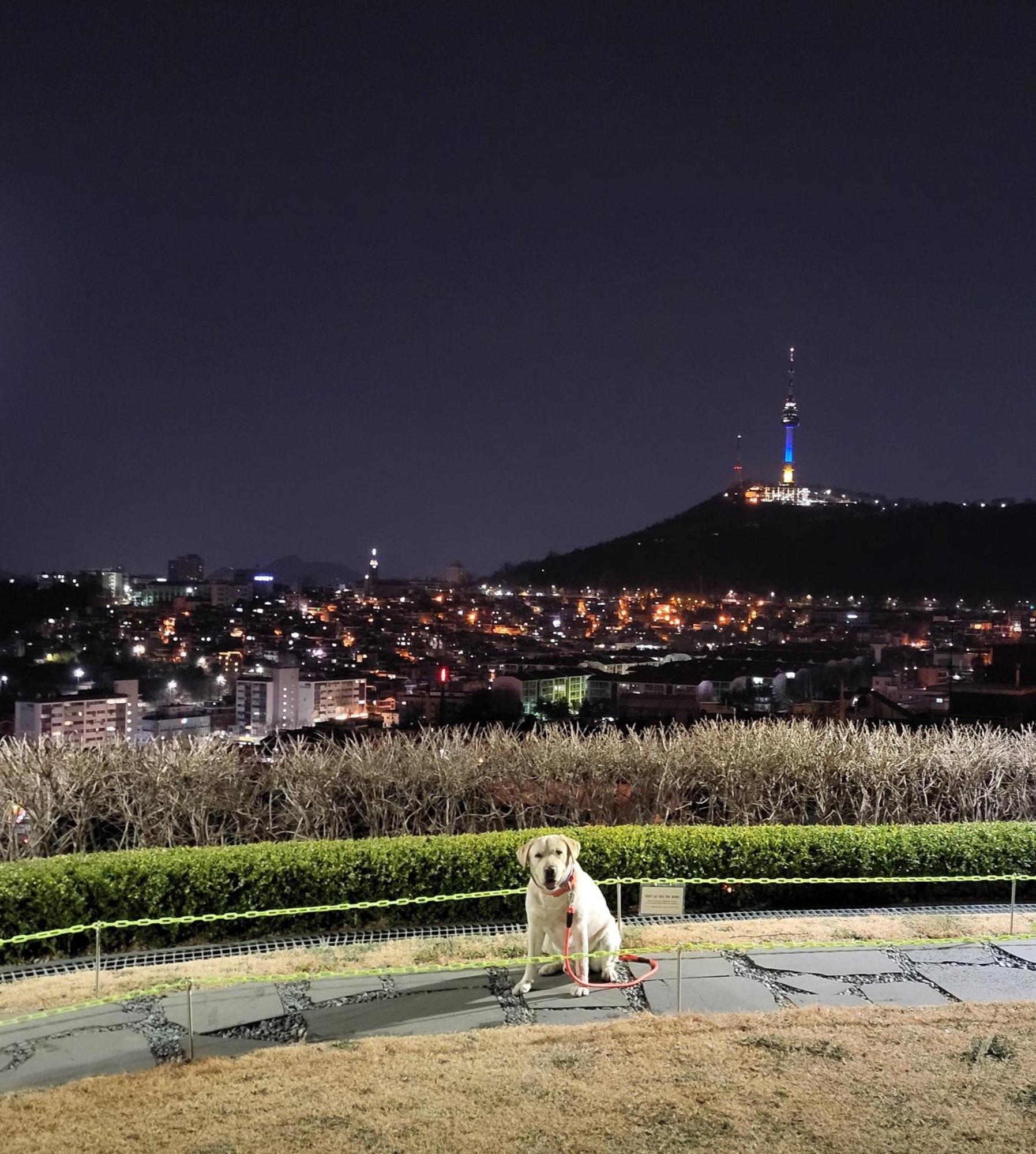 Newly Renovated 2 Bedroom Apartment #7 Seul Exterior foto